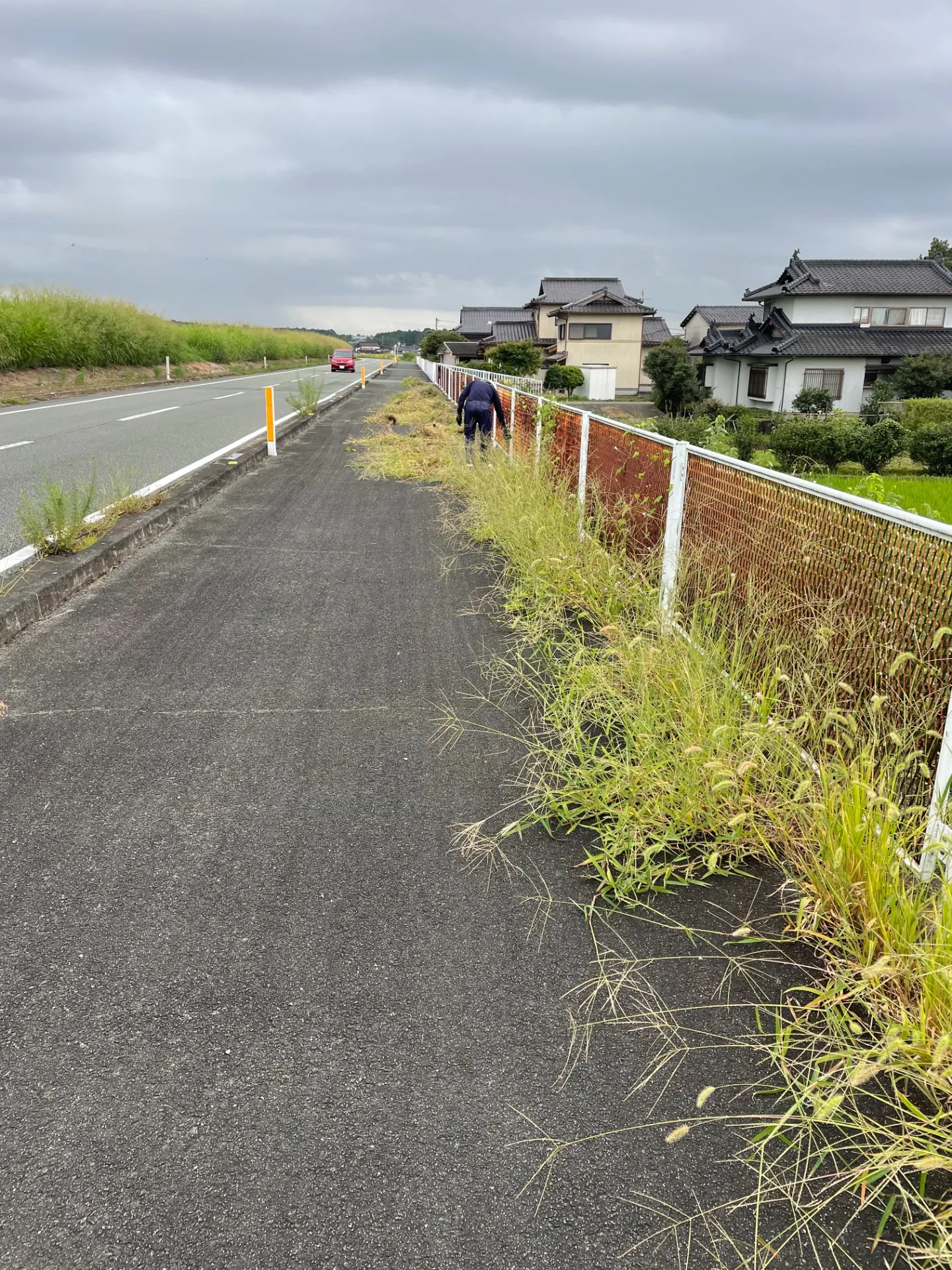 【環境に優しい除草剤】〇〇地区道路際の草取りのご依頼を承りました。